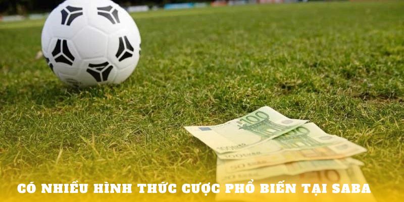 Saba Thể Thao - Tham Gia Dễ Dàng Với Nhiều Loại Cược Hấp Dẫn